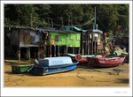IMG_0614 e