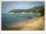 IMG_0615 e