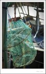 IMG_0618 e