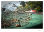 IMG_0621 e