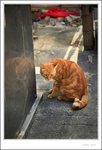 IMG_0636 e
