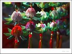 IMG_0639 ec