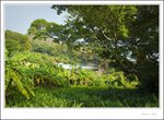IMG_0647 e