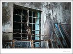IMG_0669 e
