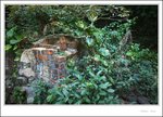 IMG_0681 e