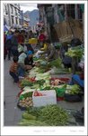 _MG_3489 e