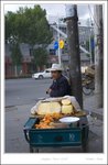 _MG_3495 e