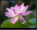 _MG_1483 ec2