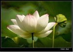 _MG_1538 e