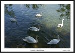 Frame__MG_4145 e