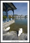 Frame__MG_4149 e