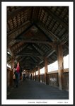 Frame__MG_4175 e