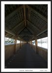 Frame__MG_4183 e