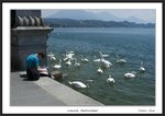 Frame__MG_4207 e