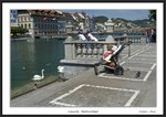 Frame__MG_4270 e