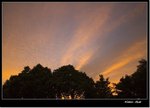 _MG_1390 e