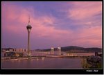 _MG_1398 e
