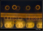 _MG_1783 e