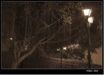 _MG_1431 ebw