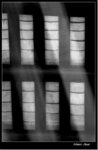 _MG_1616 ebw