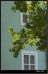 _MG_1696 e