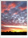 beautiful sunset sky from my apartment
IMG_8681