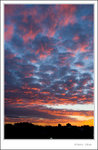 _MG_9776 e