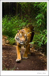 _MG_2205 ec