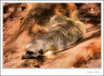 _MG_2280 ec