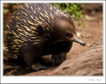 _MG_2299 ec2
