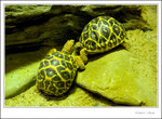 _MG_2359 ec