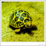 _MG_2362 ec