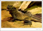 _MG_2382 ec