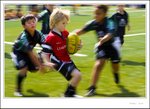 _MG_0083 e