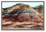 Frame_IMG_7765 eweb