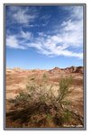 Frame_IMG_7768 eweb