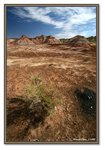 Frame_IMG_7775 eweb