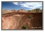 Frame_IMG_7780 eweb