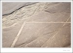 Whale. Nazca lines : geometric, animal and plant shapes etched on the desert ground by ancient people. I wonder how they did that, with the lines so straight, and the figures so enormous _MG_0113 ec