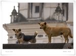 _MG_9600 e