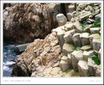 IMG_8253