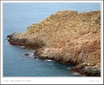 IMG_8259
