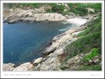 IMG_8283