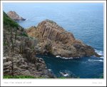 IMG_8306