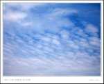 IMG_8311