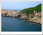 IMG_8328
