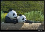 _MG_2260 e