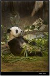 _MG_2277 e
