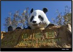 _MG_2299 e
