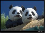 _MG_2301 ec